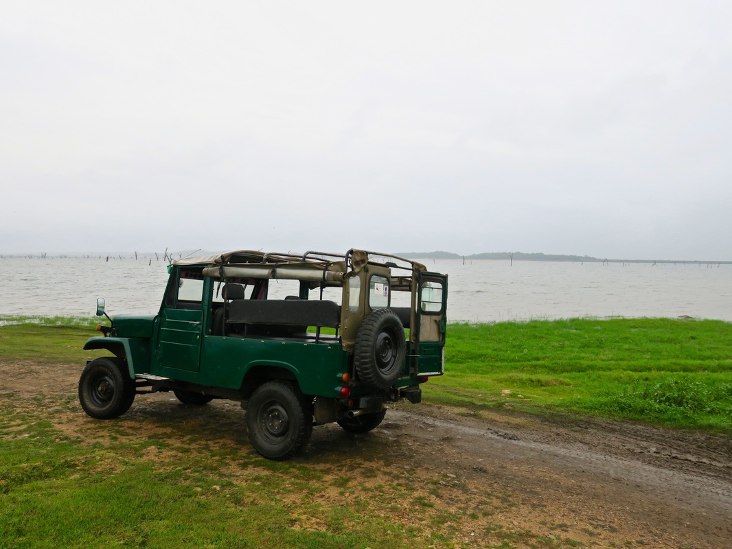 Safari Jeep | Tour Review | Samagi Villa Safari | Kaudulla National Park